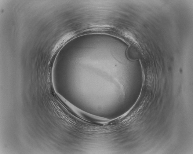 X0000059231362200510141027