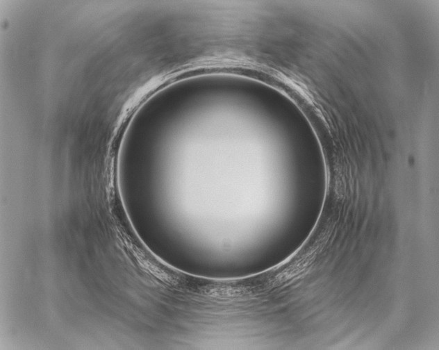 X0000059231366200510141027