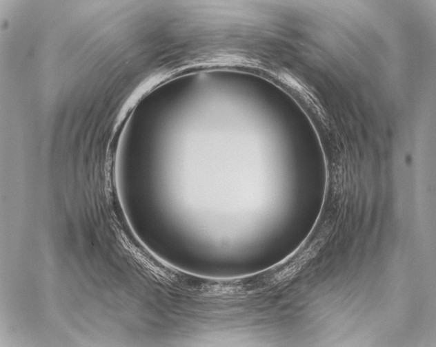 X0000059231374200510141027