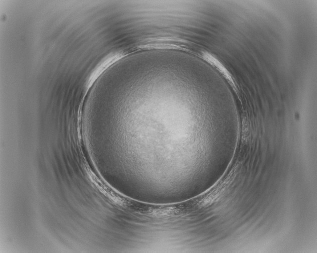 X0000059231386200510141026