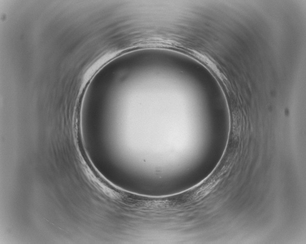 X0000059231387200510141026