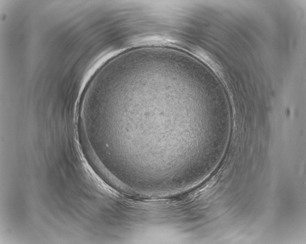 X0000059231392200510141026