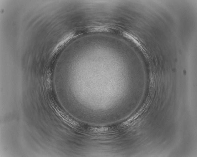 X0000059231403200510141026