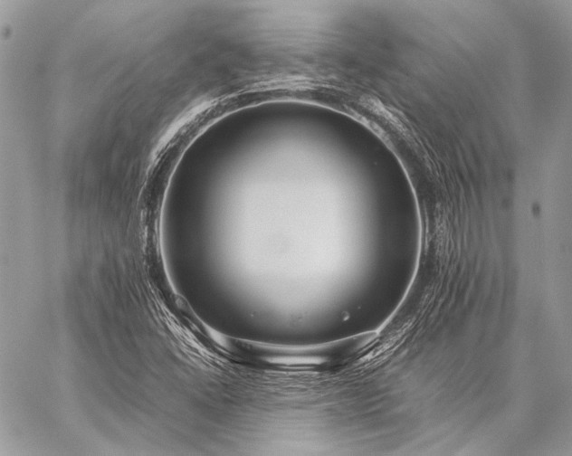X0000059231406200510141026