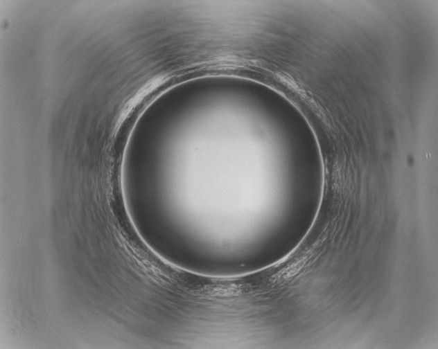 X0000059231410200510141026