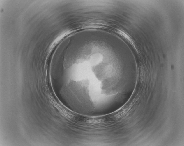 X0000059231419200510141026