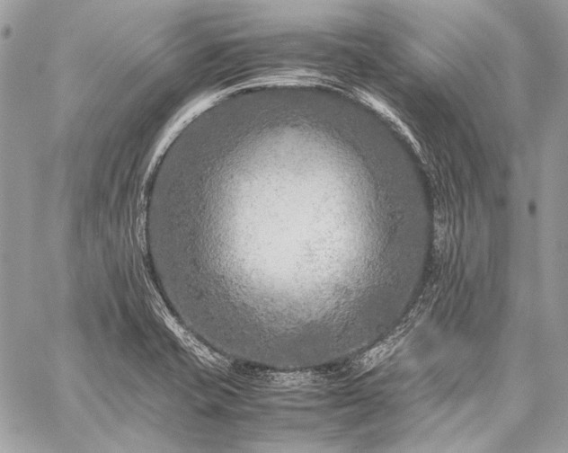 X0000059231421200510141026