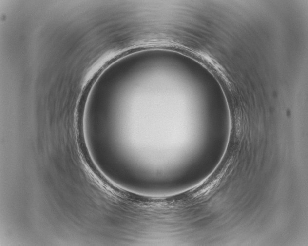 X0000059231422200510141026