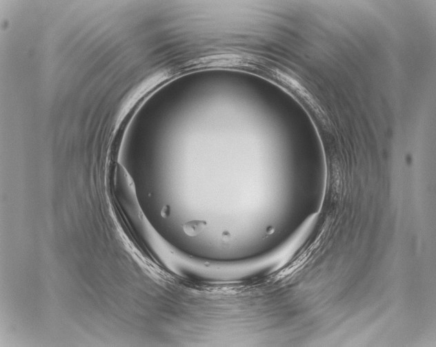 X0000059231426200510141026
