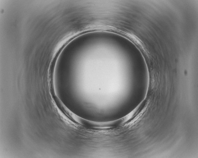 X0000059231430200510141026