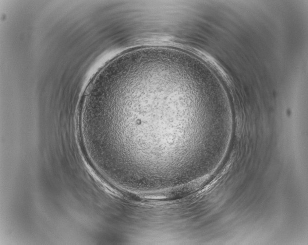 X0000059231432200510141026