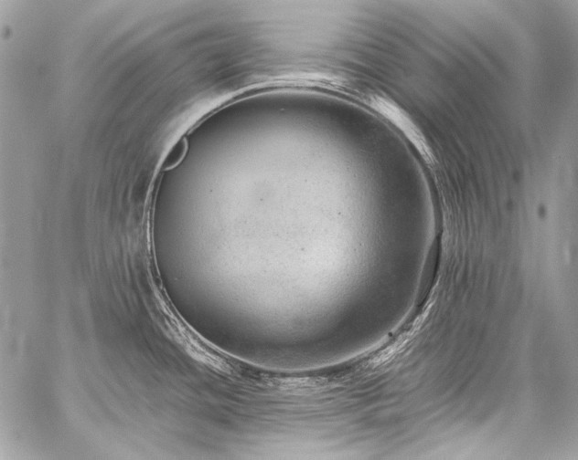 X0000059231436200510141026