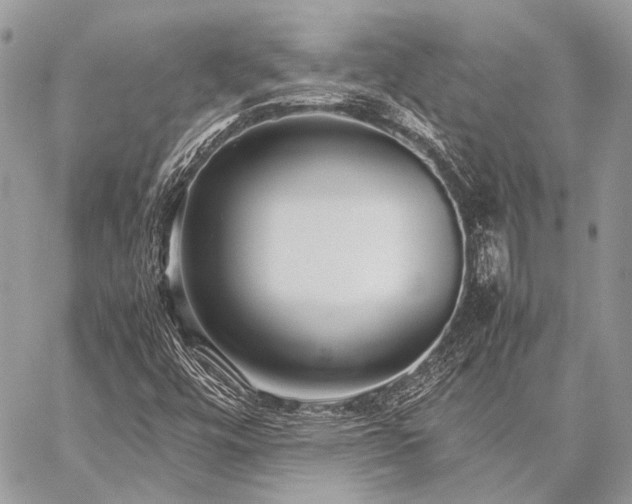 X0000059231448200510141025