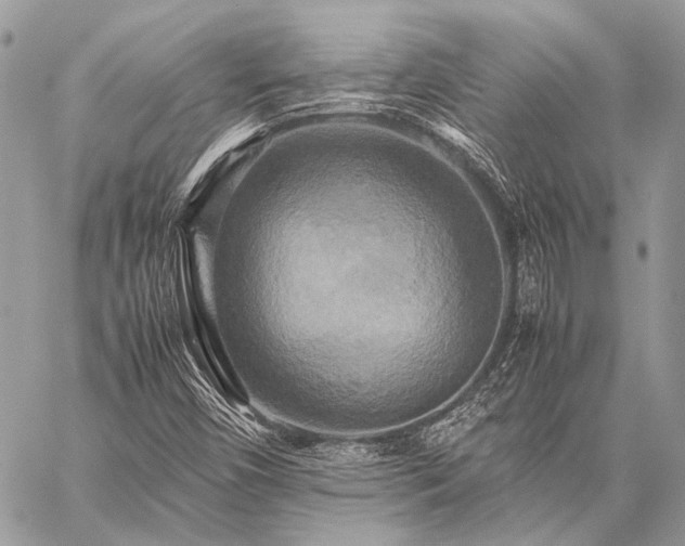 X0000059231450200510141025