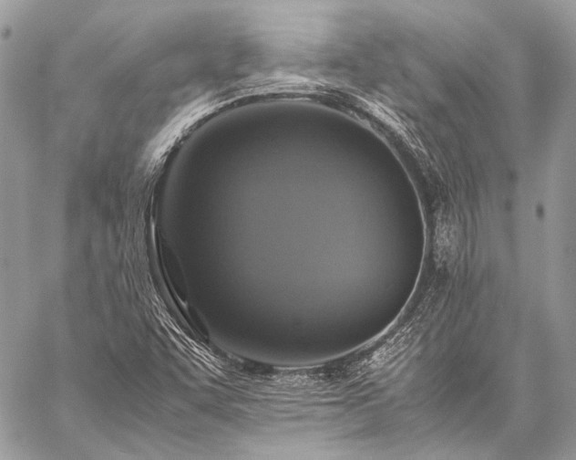 X0000059231455200510141025