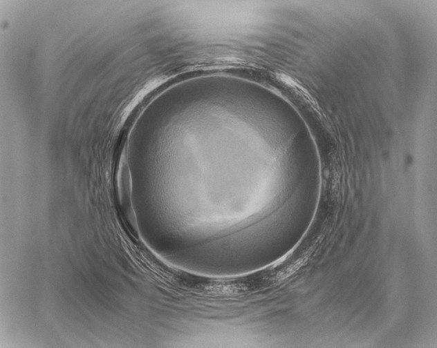 X0000059231457200510141025