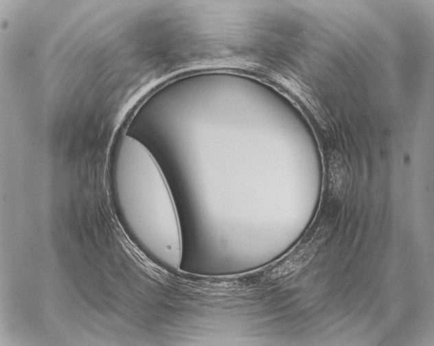 X0000059231460200510141025