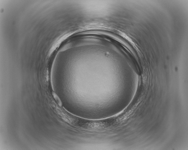 X0000059231461200510141025