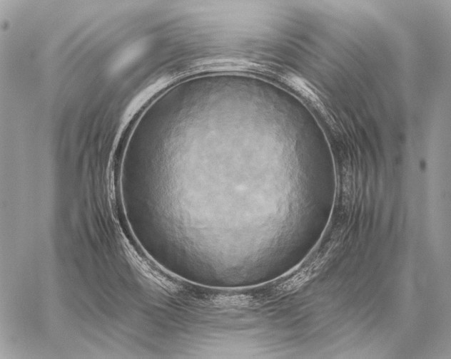 X0000059231466200510141025