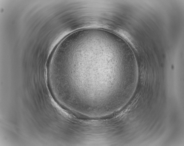 X0000059231476200510141025