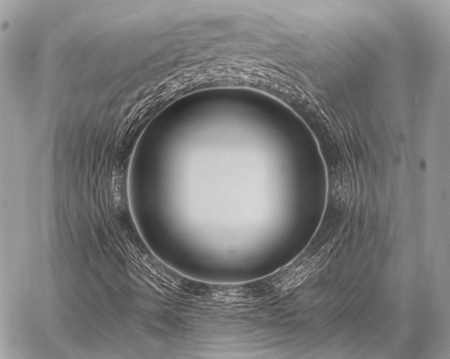 X0000059231490200510141024