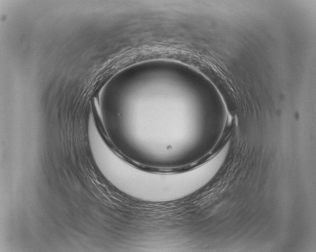 X0000059231492200510141024