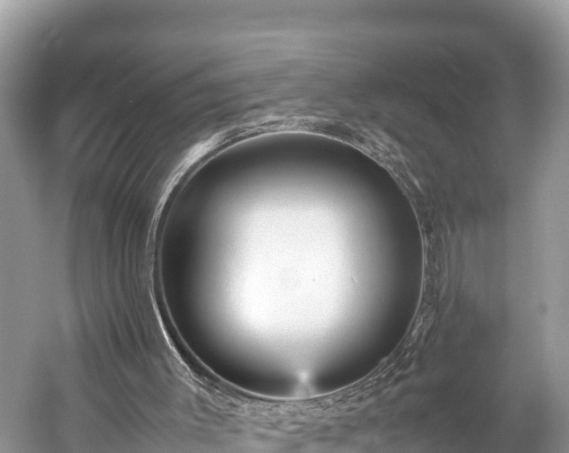 X0000059230003200510171503