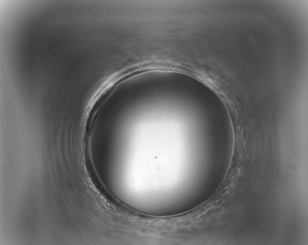 X0000059230007200510171503