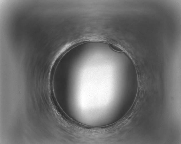 X0000059230008200510171503