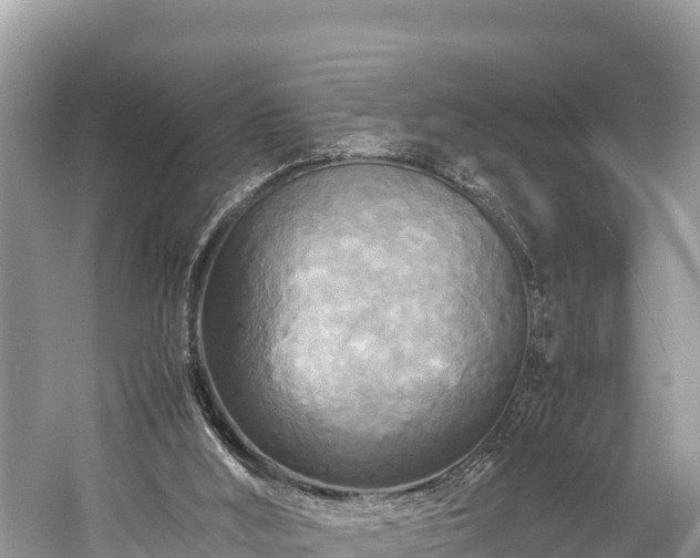 X0000059230012200510171503