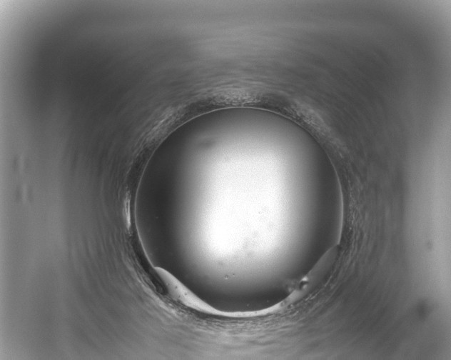 X0000059230021200510171503