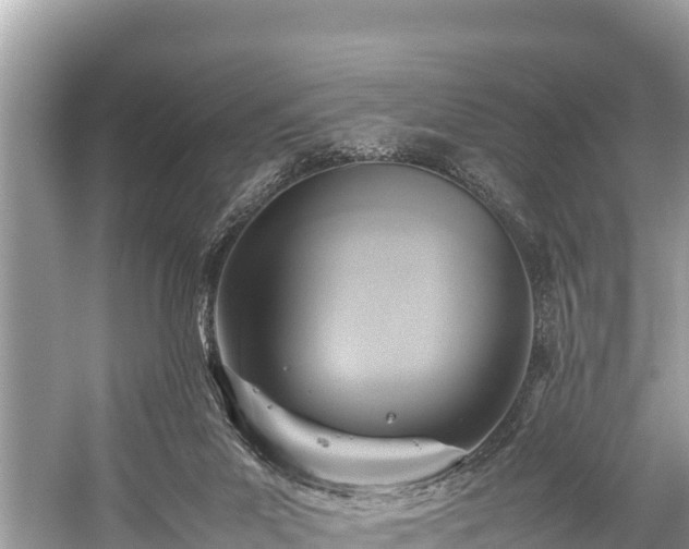 X0000059230023200510171503