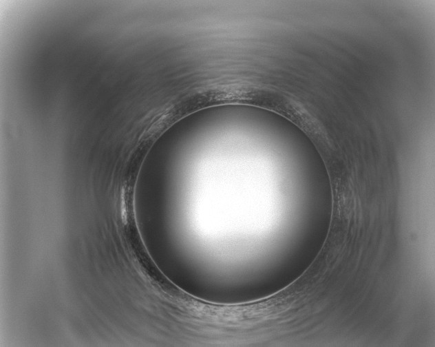 X0000059230026200510171503