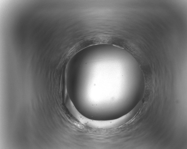 X0000059230045200510171503
