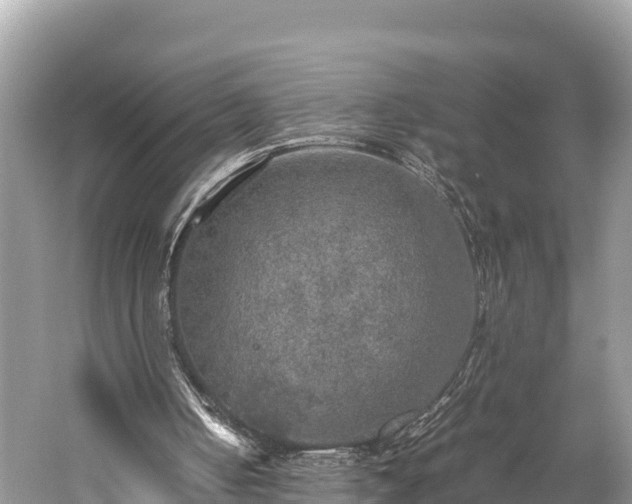 X0000059230050200510171502