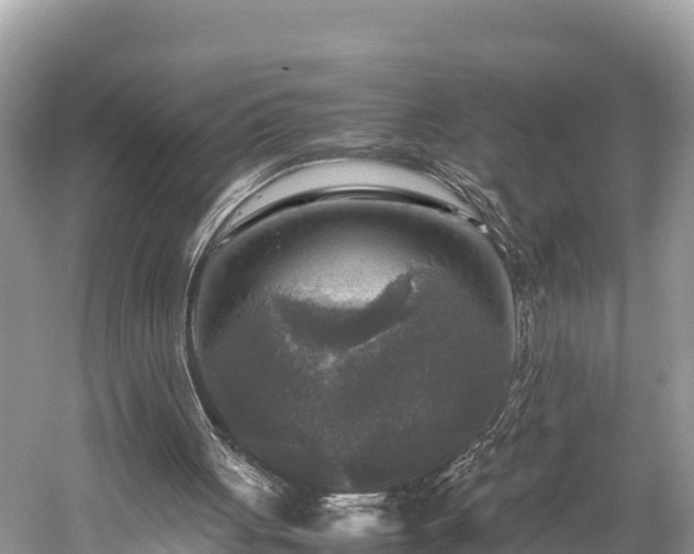 X0000059230051200510171502