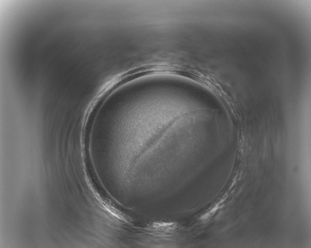 X0000059230055200510171502