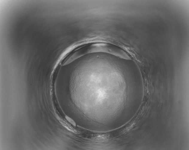 X0000059230056200510171502