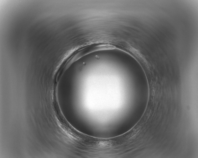 X0000059230060200510171502