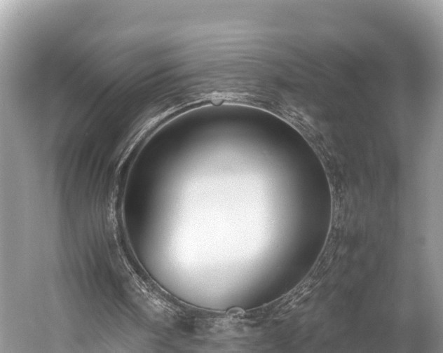 X0000059230098200510171502