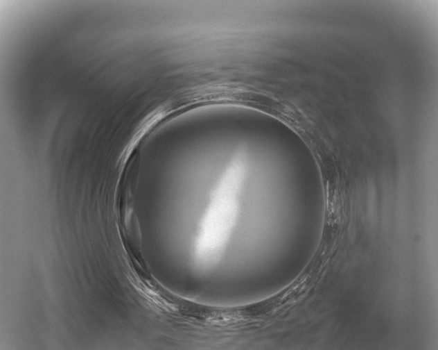 X0000059230099200510171502