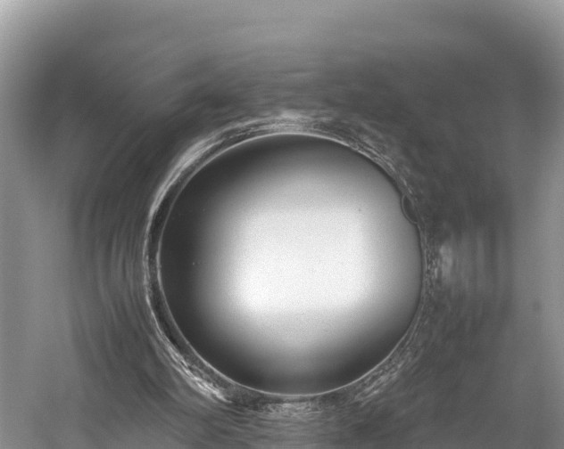 X0000059230102200510171502