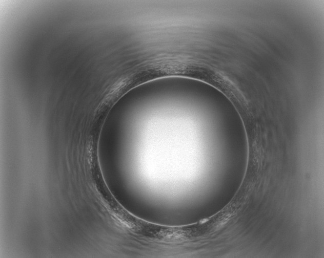 X0000059230113200510171501