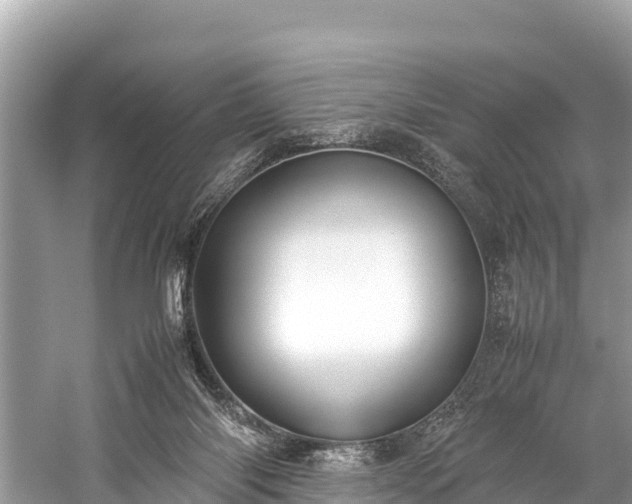 X0000059230118200510171501