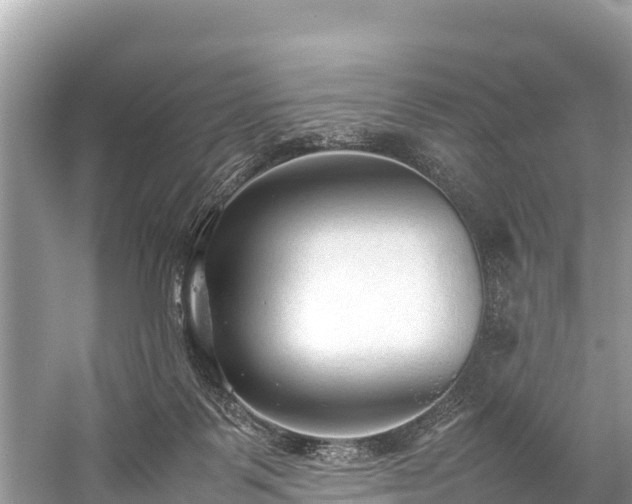 X0000059230123200510171501