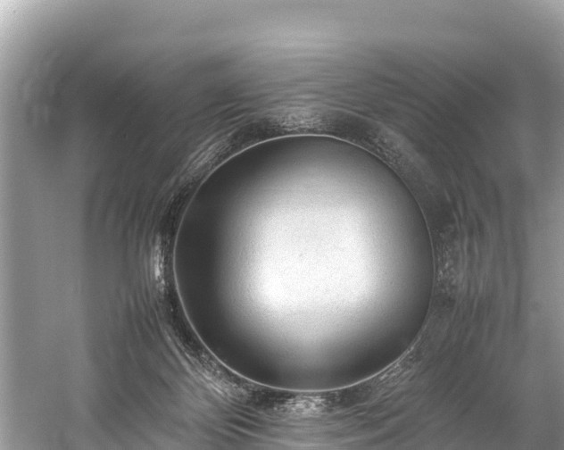X0000059230124200510171501