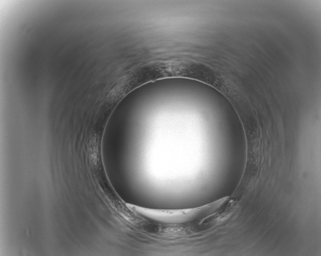 X0000059230129200510171501
