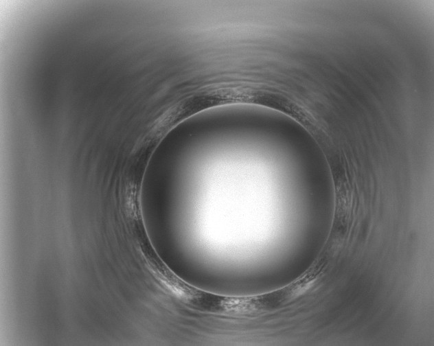 X0000059230141200510171501