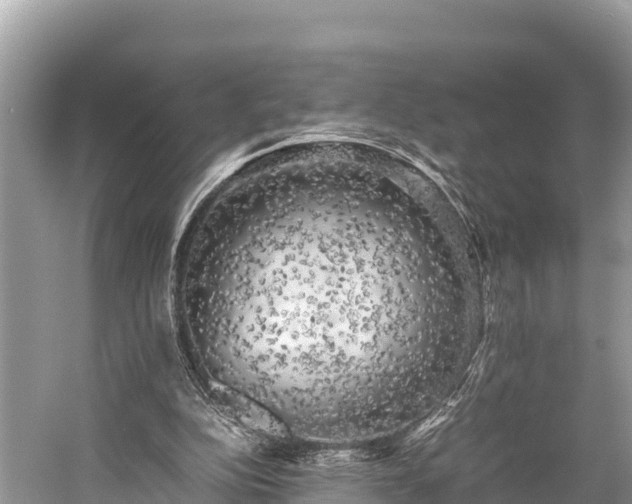 X0000059230152200510171500