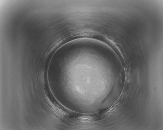 X0000059230154200510171500